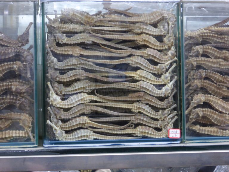 冷えと免疫力《NaturalLife115_’20.12》