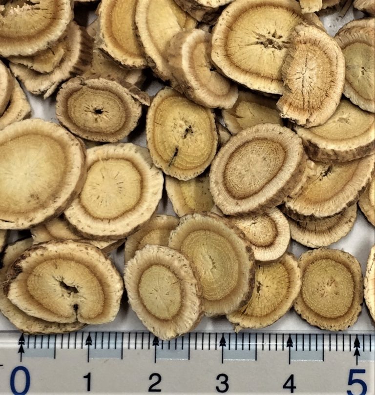 免疫力を高めよう！《NaturalLife107_’20.3》